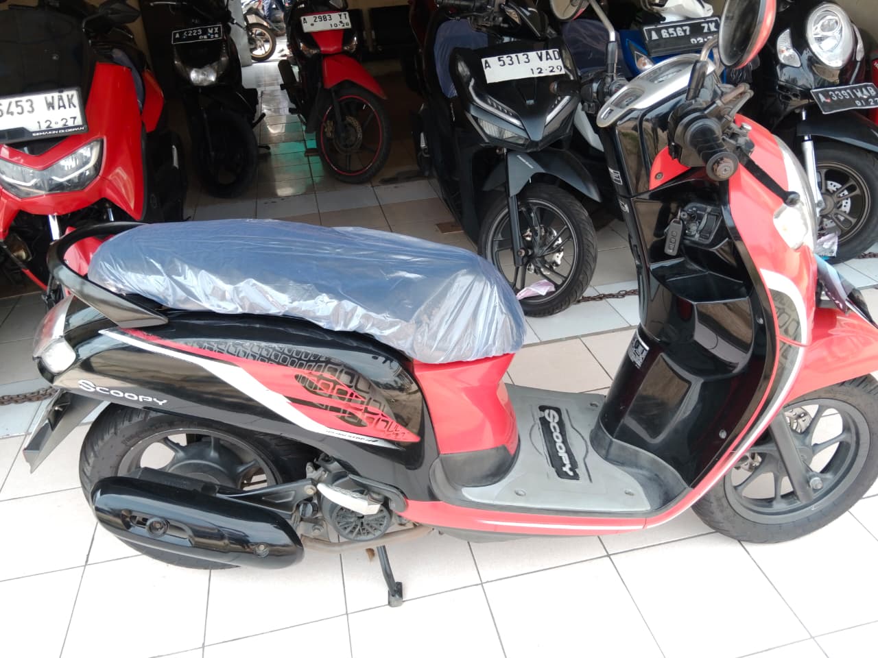 HONDA SCOOPY STYLISH
