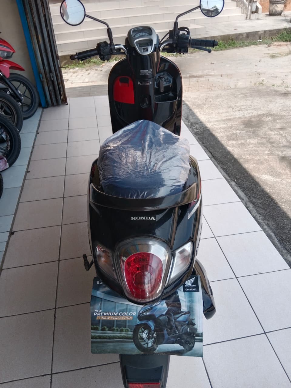 HONDA SCOOPY STYLISH